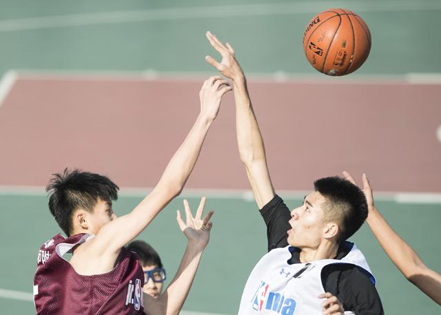 久久久www成人免费无遮挡大片