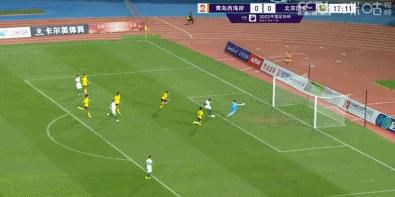 久久99精品久久久久久青青日本