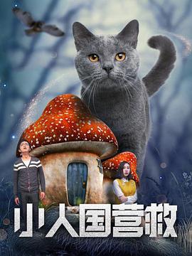 论理影视