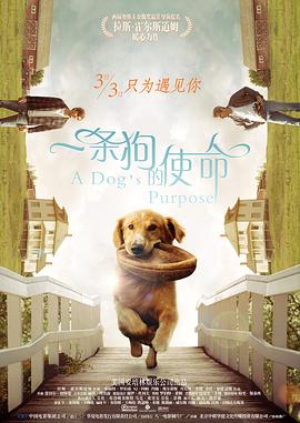 2345影视大全污