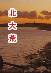 成人7777
